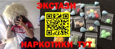 стаф Тула