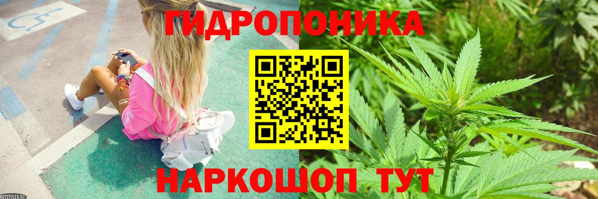 Канабис сатива  Бошки Шишки THC 21%  МАРИХУАНА сатива  Вход с VPN  Каменск-Шахтинский 